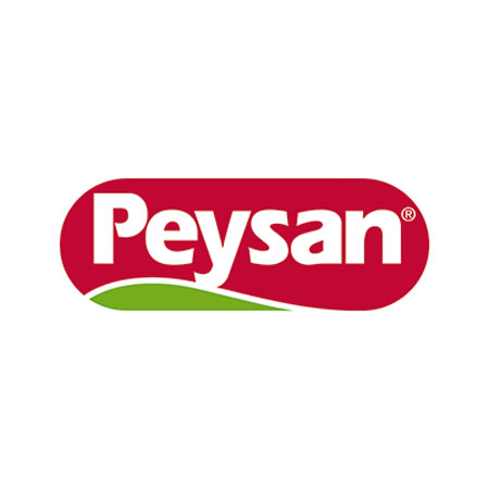 Peysan